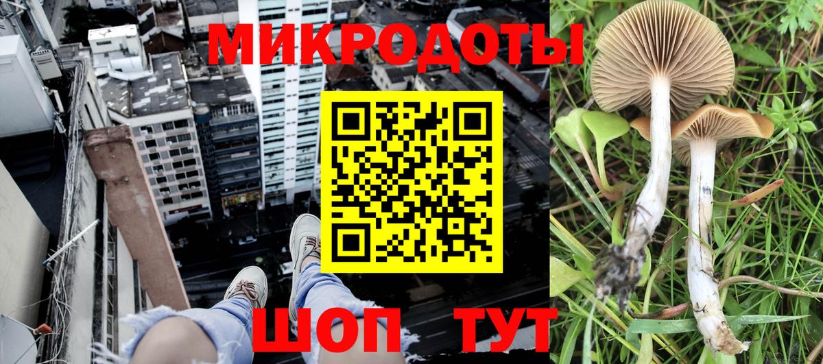 Гурьевск  Галлюциногенные грибы Cubensis  Псилоцибиновые грибы Magic Shrooms  Вход с VPN 